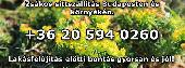 Ingatlan feljts eltti bonts s zskos sittszllts