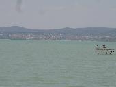 Balaton