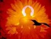 Stresszolds, gyrs, reiki!