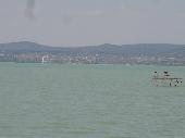 Balaton