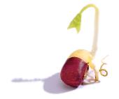 Eg�szs�gv�d� cs�r�k