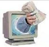 Online v�llalkoz�s