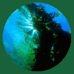 Az els�knek t�bb jut! Magyarorsz�gi piacnyit�s ...